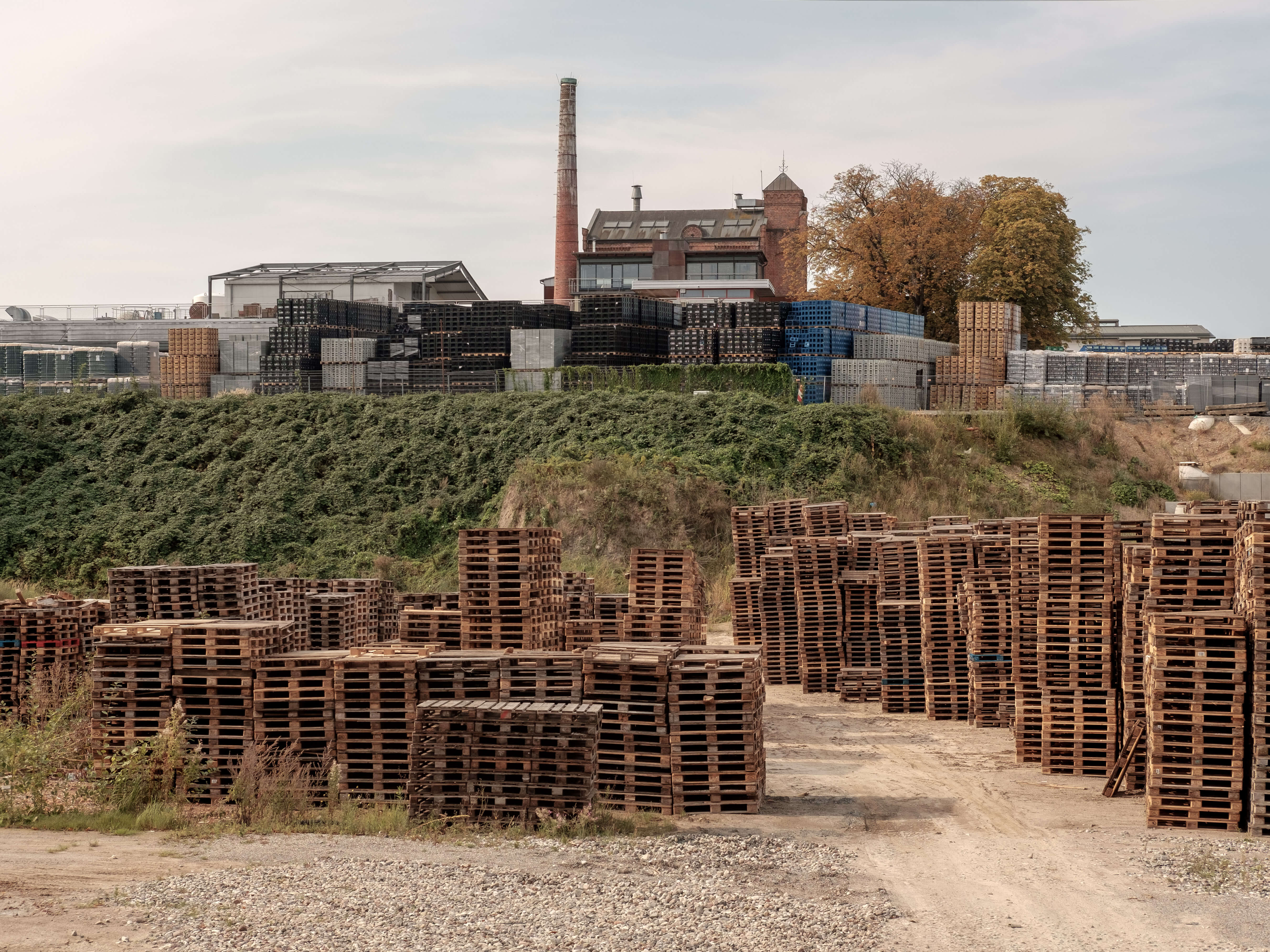 Die Störtebeker-Brauerei in Stralsund ist Mitglied der Freien Brauer. Mit 200.000 Hektoliter zählt sie zu den eher kleineren Brauereien setzt sich aber dafür ein die Biervielfalt und Bierkultur in Deutschland zu erhalten. // The Störtebeker brewery in Stralsund is a member of the Free Brewers. With 200,000 hectoliters, it is one of the smaller breweries, but is committed to preserving the diversity of beer and beer culture in Germany.